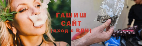 молекула духа Богданович