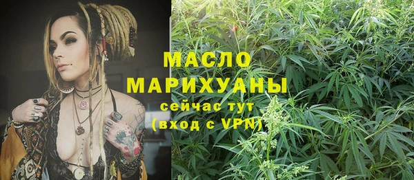молекула духа Богданович