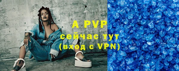 молекула духа Богданович